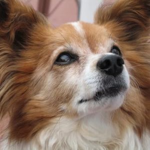 Meet your Posher, Kay